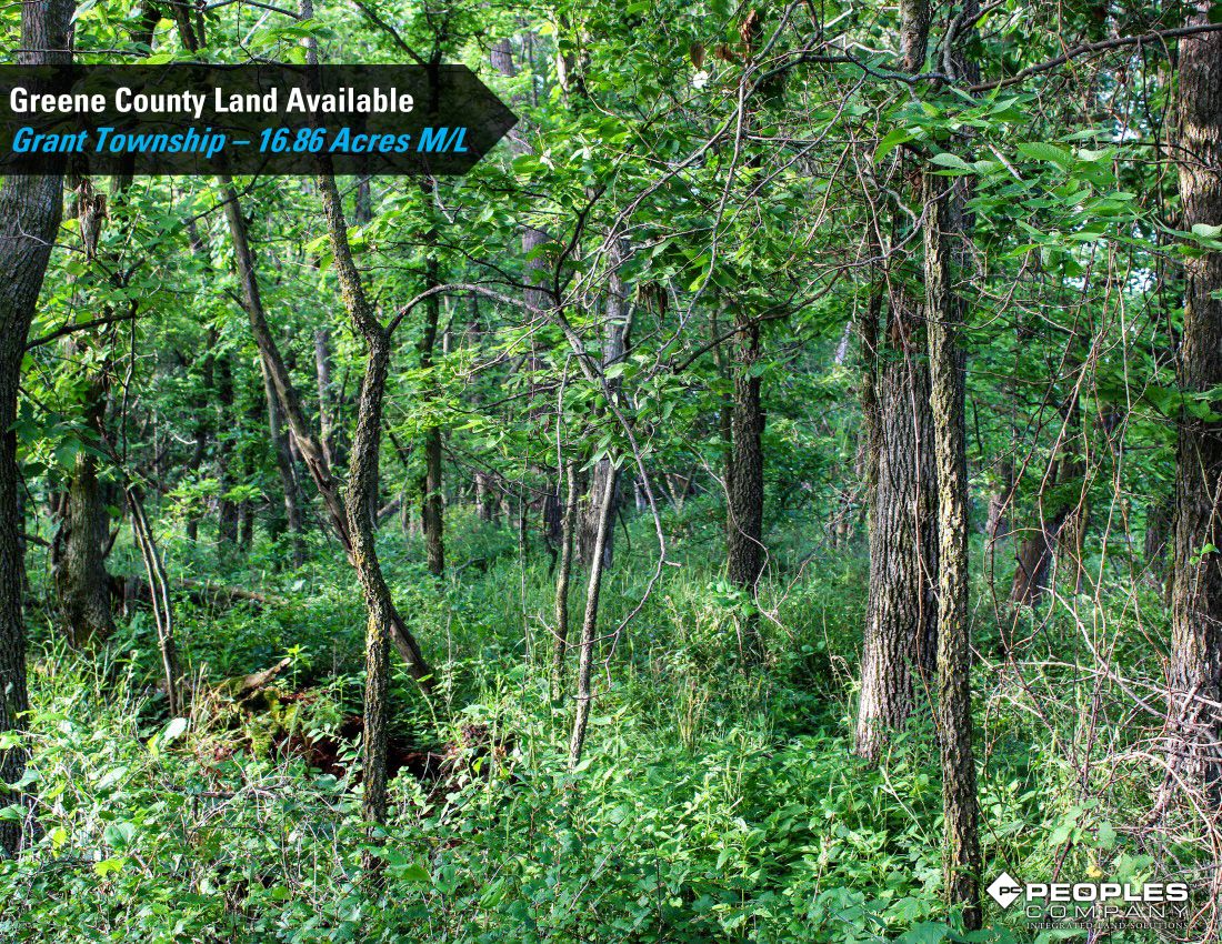 Listing Photo: Greene-County-Iowa-Recreational-Land-Available-17-Acres-19560 (16)